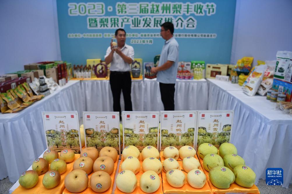 万美娱乐登录